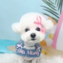 슈멍드아 이미지