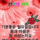 꽃들의이야기 이미지