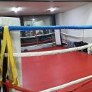 김광선복싱체육관 이미지