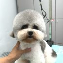 위드뚜뚜 이미지