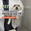 24시 코끼리동물의료센터 | 대구 수성구 동물병원 건강검진 추천 24시 케어동물의료센터강아지 건강검진 후기