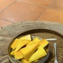 웰리스 | [다낭호이안] 부모님과 함께 온가족 해외여행 / 호이안 알마니티 웰리스 리조트 후기 +메타스파