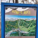 김가네손만두