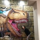 익산시보석박물관 이미지