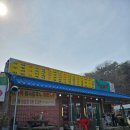 강화 전등사 맛집 추천 &#34;부산식당&#34; 더덕정식 후기
