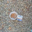 마지초등학교 | 11개월 아기와 파주 하늘연캠핑장 당일 글램핑 후기 꿀팁