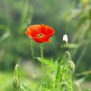 봇재다원화장실 이미지