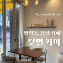 닻별커피