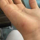 양평맑은피부과의원 이미지