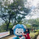 황룡의원 | 청양 천장호출렁다리 방문후기