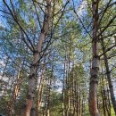 꿈꾸는 계곡 펜션 이미지