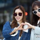 케이스텔라 이미지