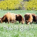 녹색환경종합개발 이미지