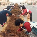 순천조례초등학교 이미지