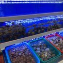 평택조개구이무한리필 이미지