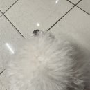 와이디더블유