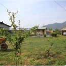 이글농장 이미지