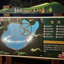 틀모산 도시숲 이미지