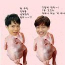 고꼬