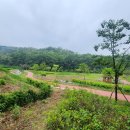 삼봉근린공원 이미지