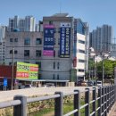 갑상선암 바로 알기 | 진주 갑상선/유방초음파 진료후기 [진주 유하지의원]