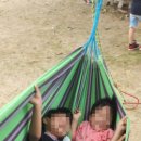 온양초사초등학교병설유치원 이미지