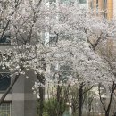 (주)지에스리테일 지에스25강남점 | 26/03/30(월)~26/04/01(수) | 세무 핵심 정리 노트 출간, 보험사 지점장 시작