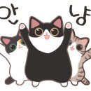 강남-094 이미지