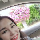 한미모뷰티 네이버블로그