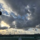 대마도 여행 전설의 니나호 탑승 후기 조건부 운항 멀미 정도 파고 2.5M 1.0M 비교 멀미약 자리 꿀팁