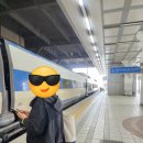 우리들여행사㈜ | 백운동정원 강진여행_전라도가볼만한곳.기차여행KTX(내돈내산).모녀여행추천.강진반값.강진예찬