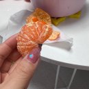 미스터아빠무동점