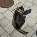 12/3 도자기 페인팅 | 이천 도자기마을 조이세라믹 핸드페인팅 체험 내돈내산 with 수령 후기