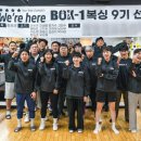 BOX-1복싱야당 이미지