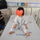 울산대학교병원 어린이집 | 울산 아기 난소 탈장수술, 울산대 21개월 여아 서혜부 탈장수술 후기,1년후 재검진