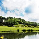 금잔디 골프 클럽 이미지