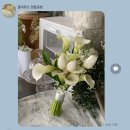 졸리쥬드 이미지