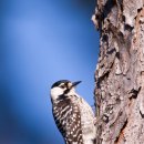 모노골 화장실 이미지