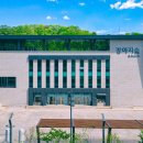 강아지 숲 이미지