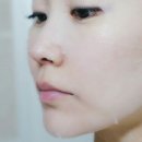 버드네스트 이미지