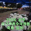 2026 공주 유구색동수국정원 축제 일정! 6월 21일 일요일 실시간 개화 상황 방문 후기