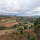 (주)트라오