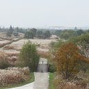 원평나루 이미지