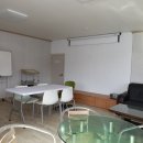 벌과 사람 이미지