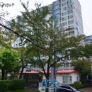 한선파라디움 이미지