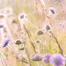 민주 행정사사무소 이미지