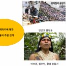 아메리카아카데미 네이버블로그
