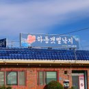 갯벌낙지 이미지