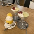 쟈스민 | 뚝섬역 젤라또 맛집 퀘스토 젤라또 내돈내먹 솔티 밀크 피칸 &amp; 쟈스민 말차 후기