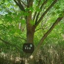 홍록배드민턴장 화장실 이미지